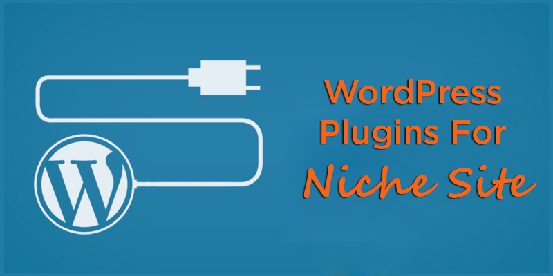 Must Have WordPress Plugins For Amazon Niche Site (# 4 Is Most Powerful)