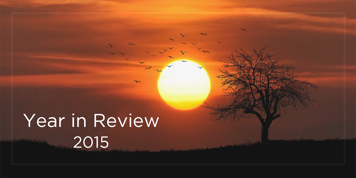 Year-in-Review-2015-Marketever